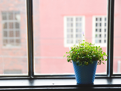 ddos在线攻击测试网站